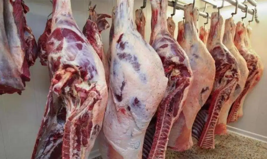 منافذ بيع اللحوم التشادية في الإسكندرية