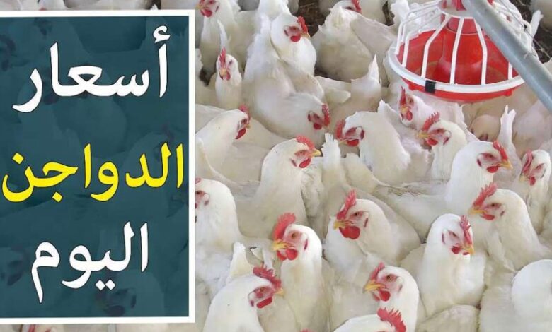 انخفاض اسعار الفراخ اليوم