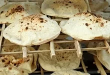 المخابز السياحية ترفع سعر رغيف الخبز