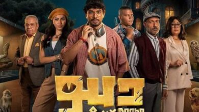 كم عدد حلقات مسلسل ديبو