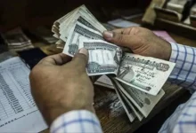 معاشات نوفمبر 2026