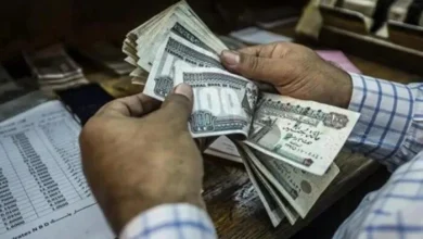 معاشات نوفمبر 2026