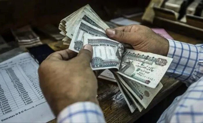 معاشات نوفمبر 2026