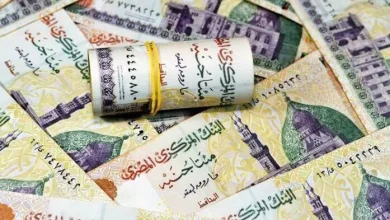 موعد صرف معاشات نوفمبر 2026