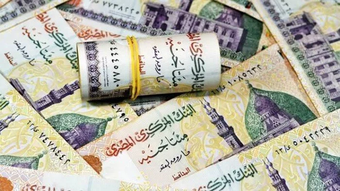 موعد صرف معاشات نوفمبر 2026