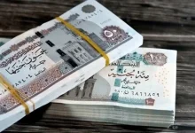 موعد صرف معاشات نوفمبر 2026