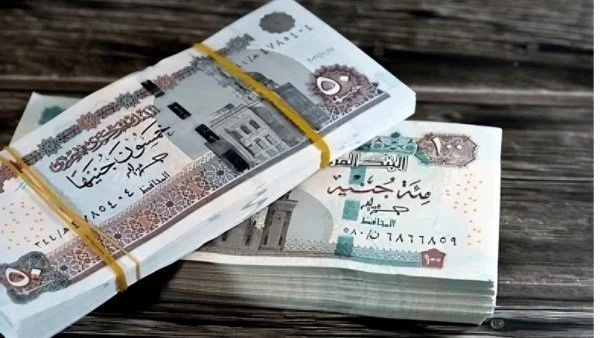 موعد صرف معاشات نوفمبر 2026
